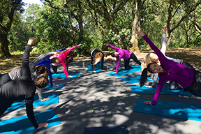 best yoga outdoors san francisco