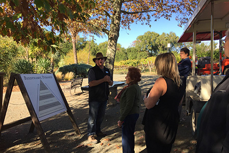Benziger Winery