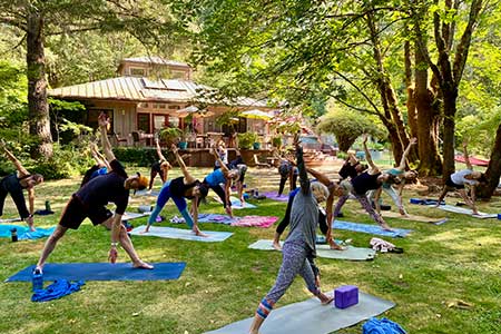 yoga retreats