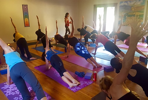 Vinyasa Flow Yoga Sonoma