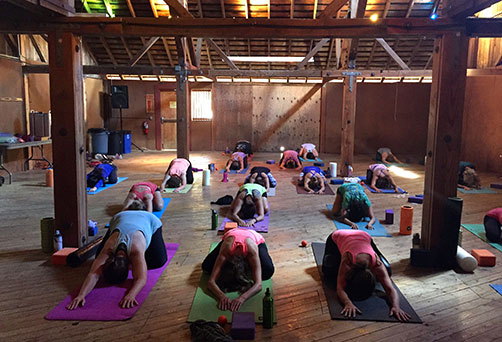 Vinyasa Flow Yoga Sonoma